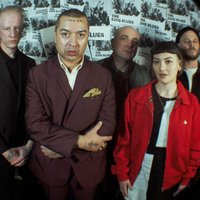 The King Blues - A Monkey Could Do That Tour at MK11 LIVE MUSIC VENUE