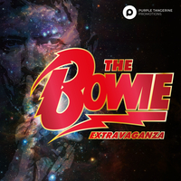 The BOWIE Extravaganza | We Can Be Heroes at Civic Hall Cottingham