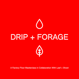 Drip & Forage: The First Gin Masterclass of Its Kind