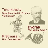 FSO play Tchaikovsky, Richard Strauss and Dvorak at Trinity Church Centre
