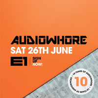 Audiowhore 10th Birthday at E1 London
