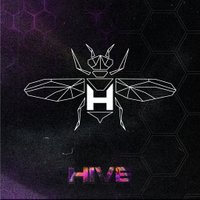Hive - Solardo at Switch