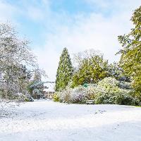 Winter Walk & Lunch with the Head Gardener