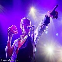 Absolute Bowie live