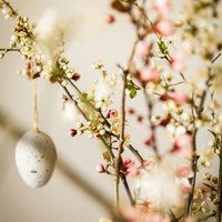 Conscious Connected Breathwork with Lyndsey & Anna at The Wild Box