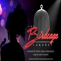 The Birdcage Cabaret at FEST Camden