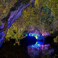 The Swiss Garden at Night