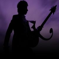 The Music of Prince - New Purple Celebration at The Anvil