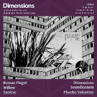 Pretty Pretty Good x Dimensions Festival Pretty Pretty Good x Dimensions Festival