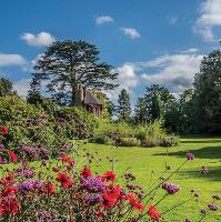 Summer Walk & Lunch with the Head Gardener