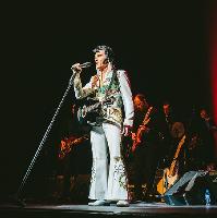 One Night of Elvis at Maddermarket Theatre
