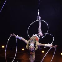 Moscow state Circus