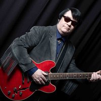 Roy Orbison Tribute Night - Stourport at Severn's Club