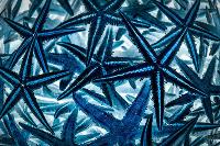 Patterns Photography Exhibition