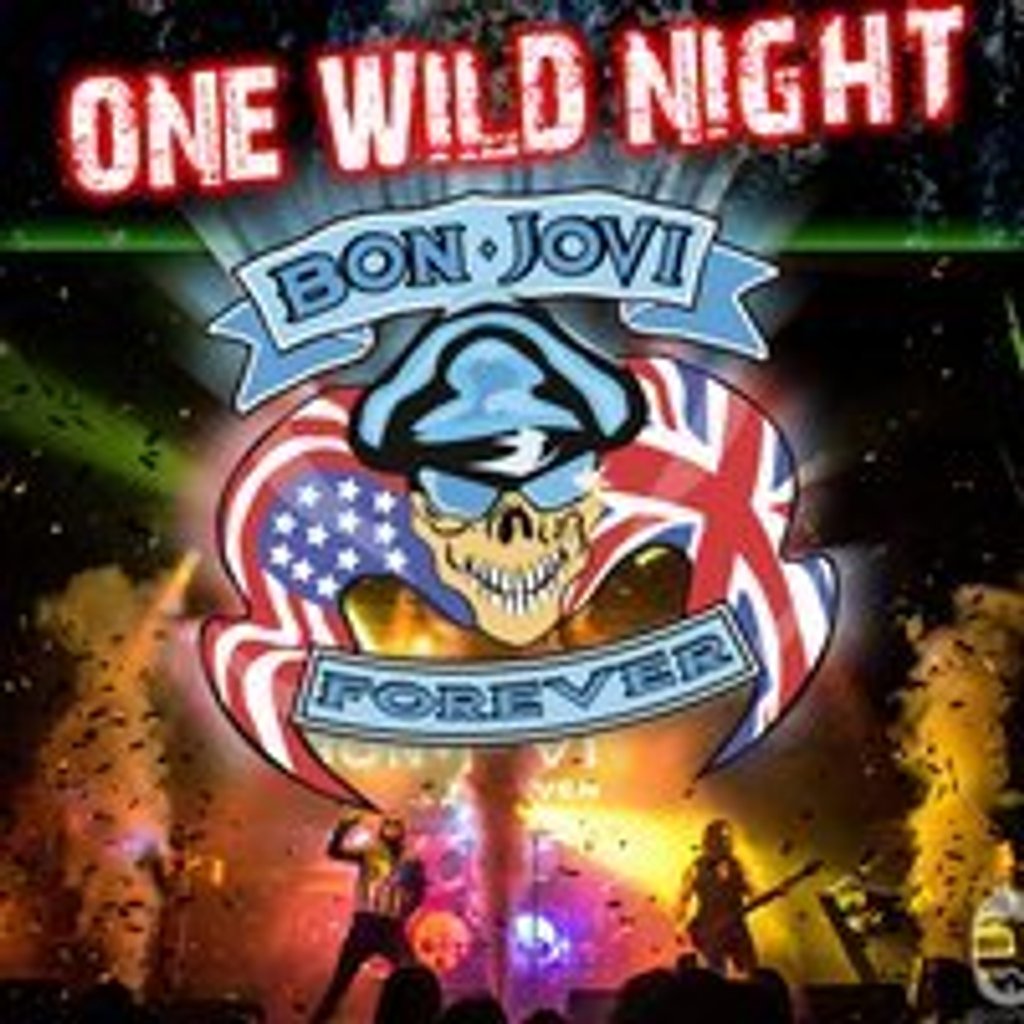 Bon Jovi Forever - One Wild Night Image