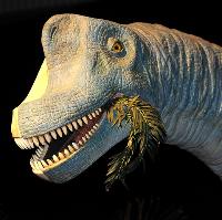 Dino Jaws