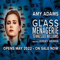 The Glass Menagerie at Duke Of York's Theatre