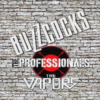 Buzzcocks / the Professionals (ex Sex Pistols) / the Vapors