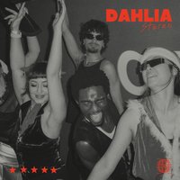 DAHLIA Stereo Sessions: Crop Radio