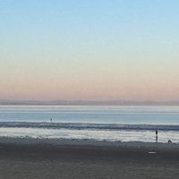 Alt Electrik - Free All Day Rave - Experiment 625 (Lark lane) at Experiment 625