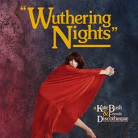 Wuthering Nights: a Kate Bush & Friends Discotheque at YES Basement