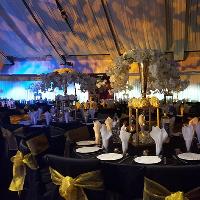 Peepul Enterprise Wedding Fair