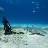 Ocean Film Festival World Tour